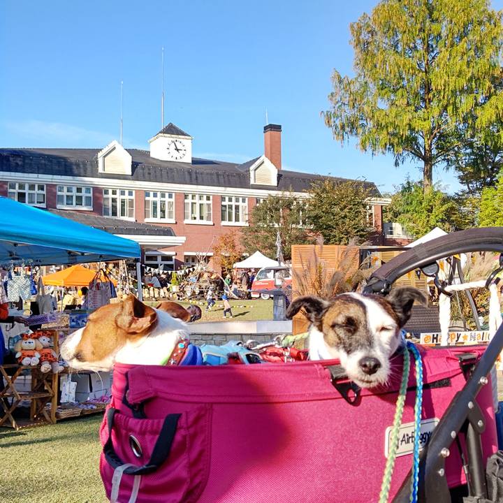 A929c493 e19a 43f4 a89b 328e26b440fb 1635597054506