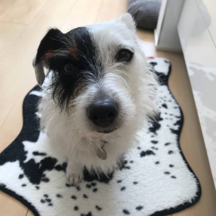 A929d689 0310 4c7f 8779 c07b5aedb6cb 1522206823999