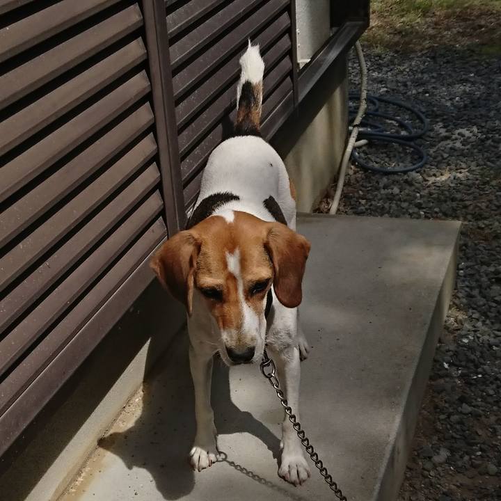 A92a1357 e20b 4c54 8072 bedf9be12034 1572413149527