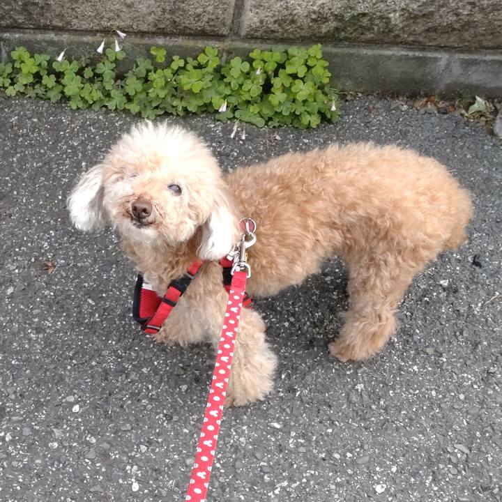 A92a96fc bba8 45b2 9b3a 7d2c476cb0ce 1686185451512