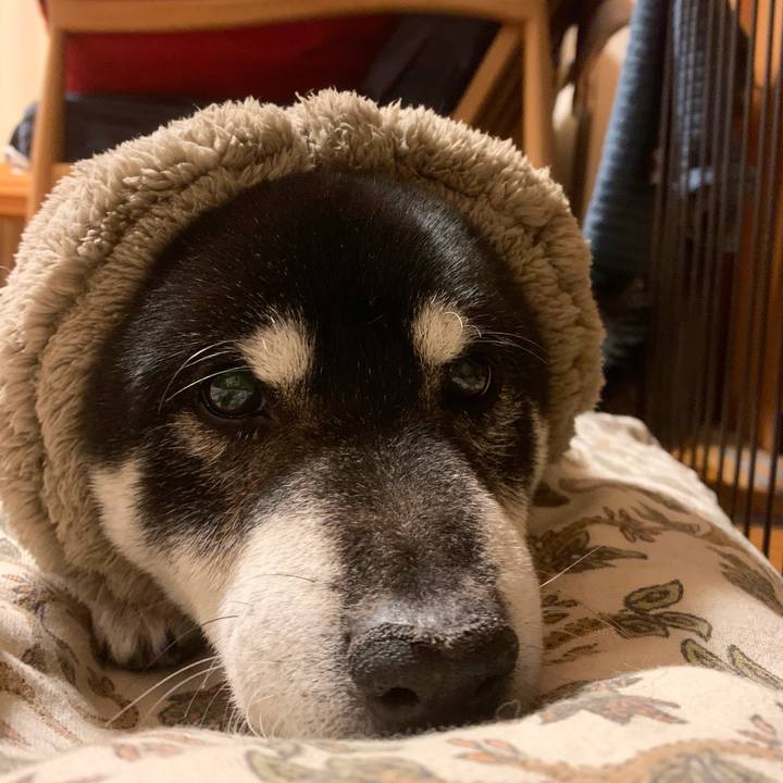 A92ac310 84c2 444e 9a57 14874688b7ef 1737357667438