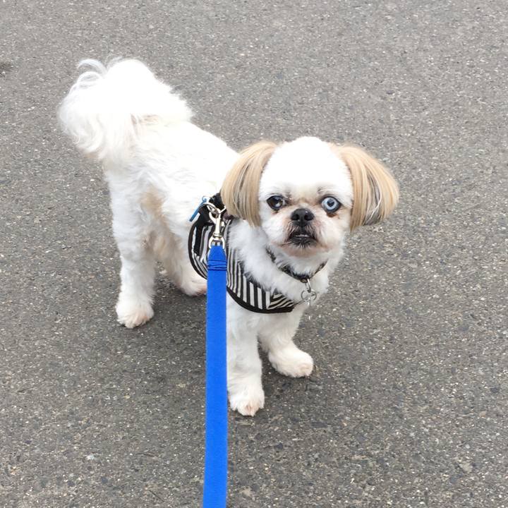 A92addbb b16d 4c51 9d3a 3d38746a4a1e 1623798362650