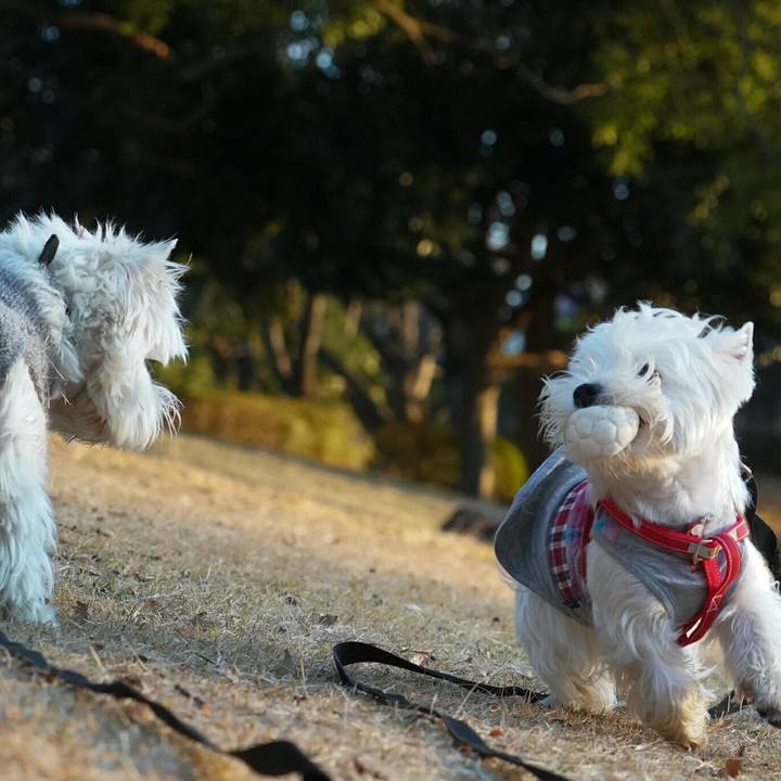 A92ae80d 1576 4171 b64c b6b41d554d3a 1514373726034