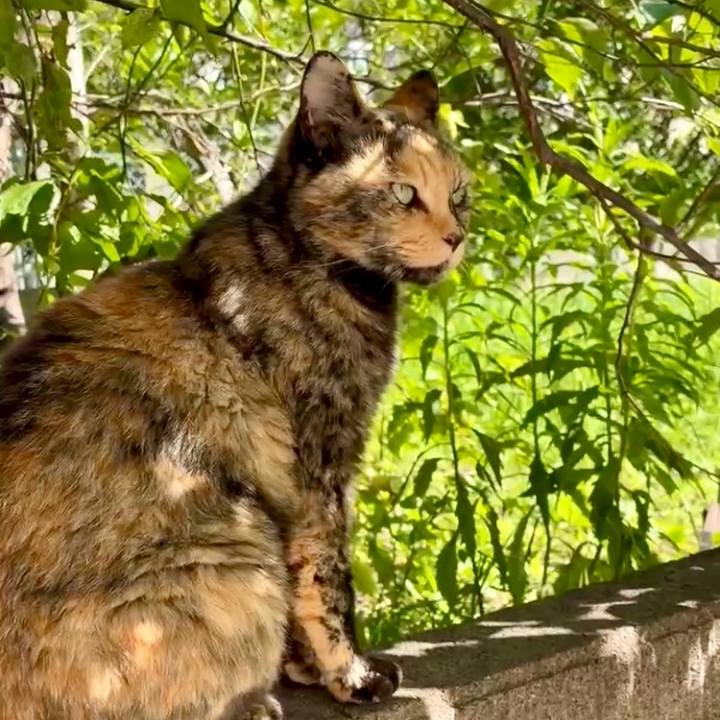 A92af3a1 98dd 4e0a 9424 0cda60c1766b 1751160631952