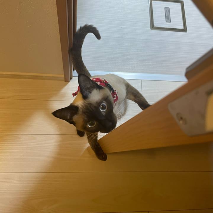 A92b14df b3e6 4cee 8a1f 9801ef36eac9 1708892779872