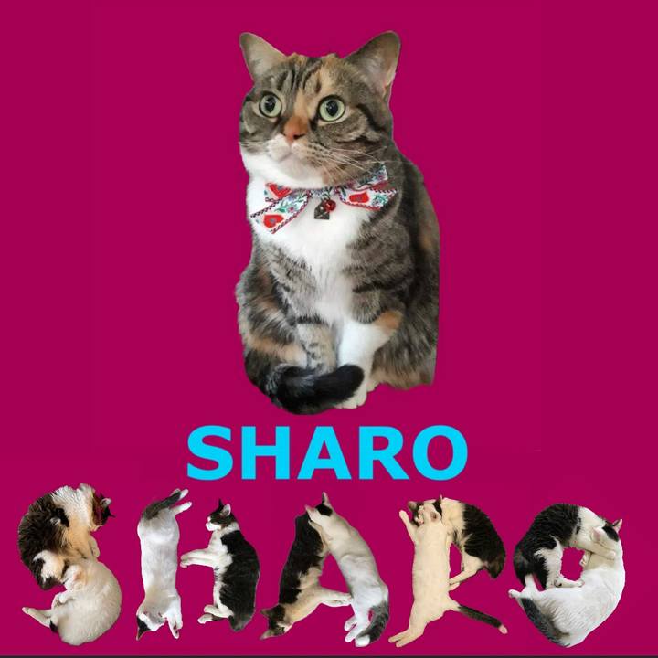 A92b285d 2072 43e8 9855 553c759ee0dc 1667386171818