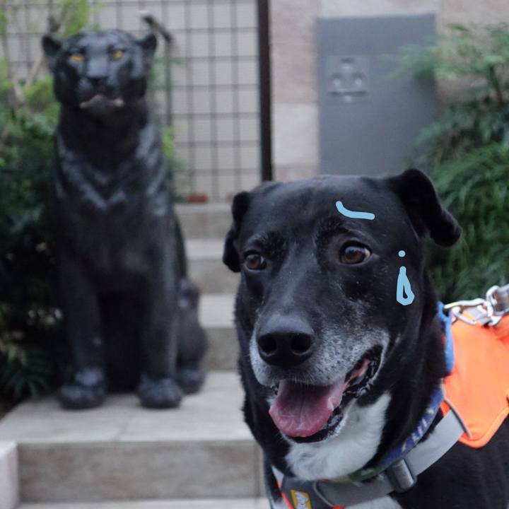 A92b37d9 38fa 44e1 896b 0f12b8da118b 1718447157485