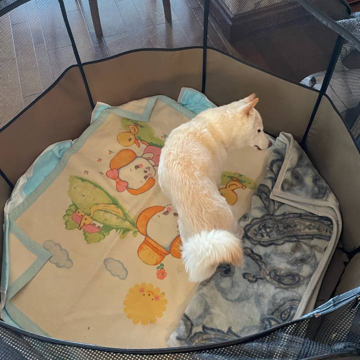 A92b5e56 d808 4d00 9cf5 9a4b3aaad9cb 1646921172876