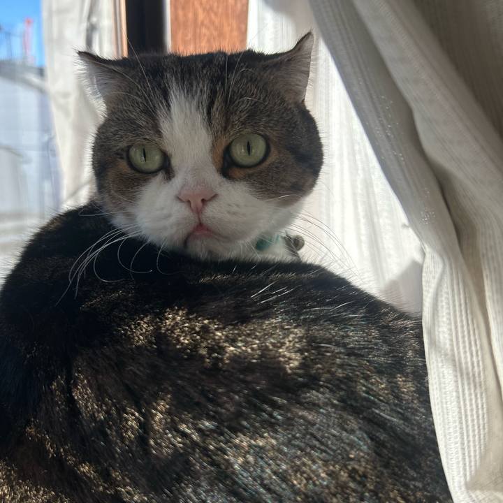 A92b6d7e 4f00 4b6f 9247 f29efb771f9e 1762936493897