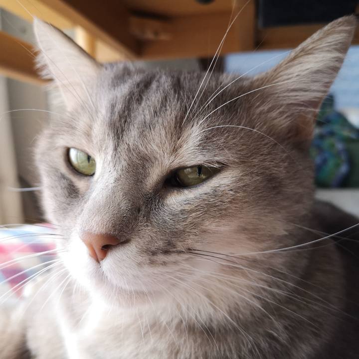 A92b8691 833e 4108 855a d831a6717659 1571460052883