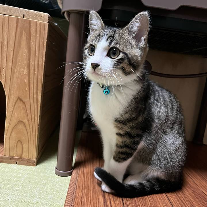 A92bc33f c074 48fa af4f 3e3293d0d2c4 1769999070933