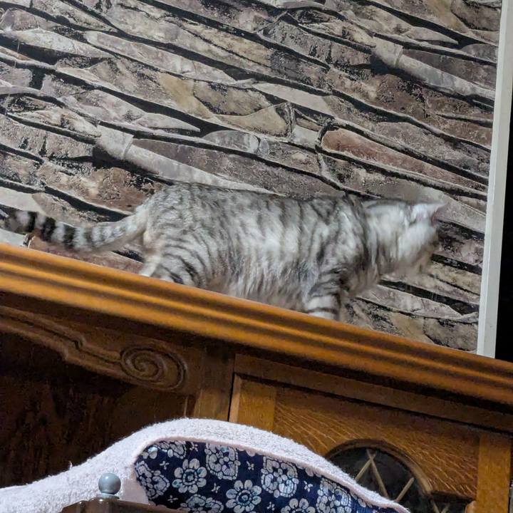 A92be161 80b6 42ab b600 7e2dad62f66f 1774363793946