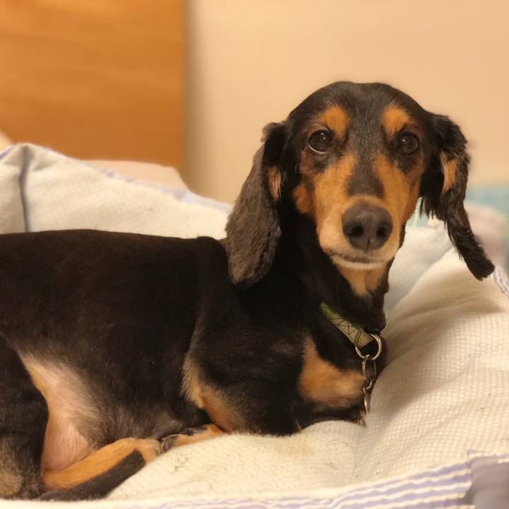 A92be203 74a6 474e a65c c09691d09efb 1530537929458