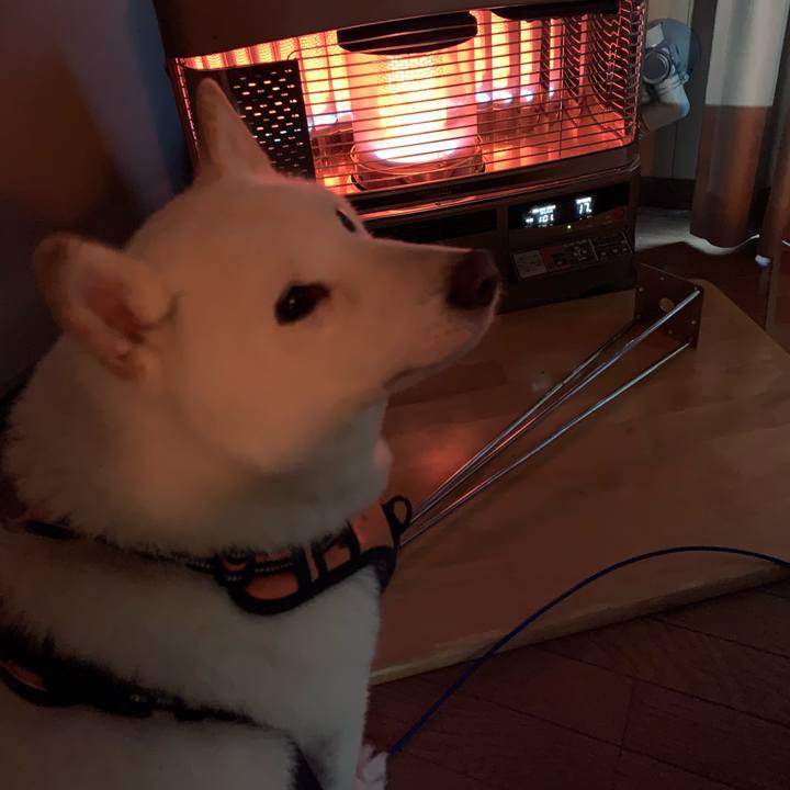 A92c57b4 1925 4221 a7a3 05b347745b94 1634938371901