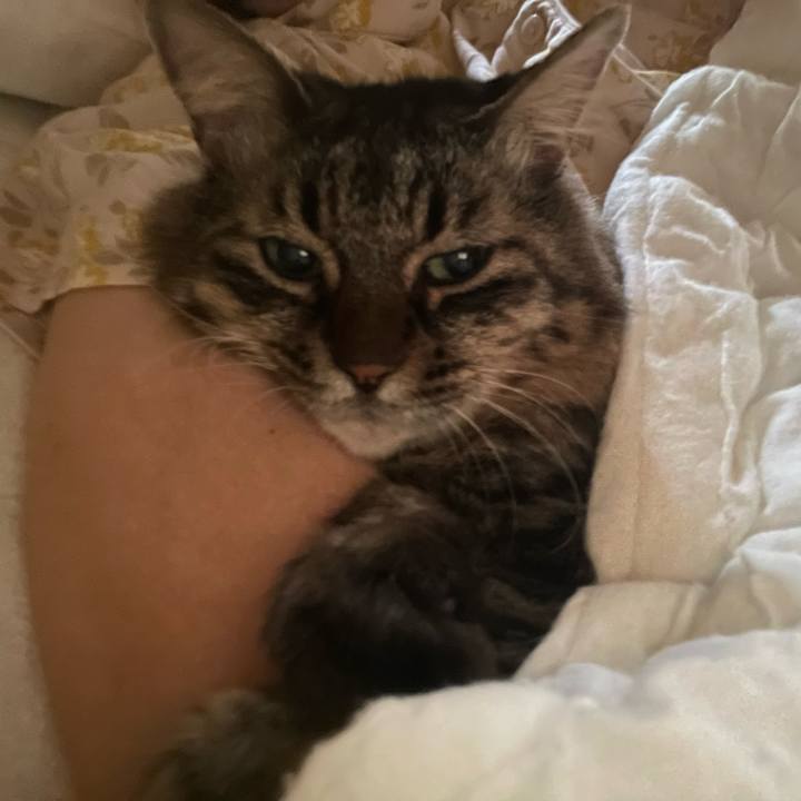 A92c993a 403f 43e0 b811 47a02104d512 1759374817358