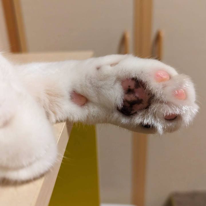 A92caa7c 6c1a 4dd9 b231 9fdc4b9c417a 1701143420283