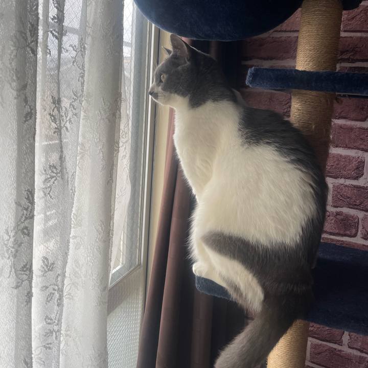 A92cc0d4 1245 4dfb a302 53a42e93b7ff 1716331165632