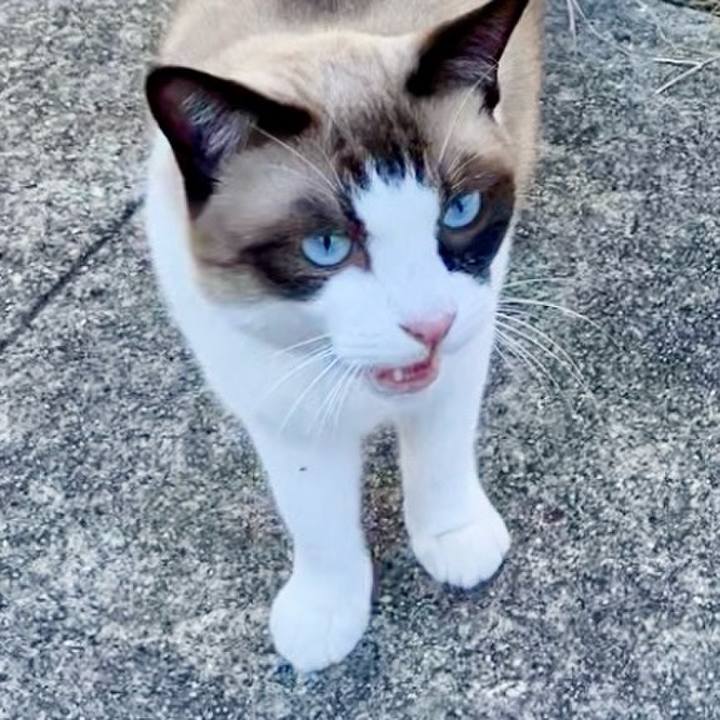 A92cc4c1 d8ae 4923 925c 20a7528d1677 1727838544230