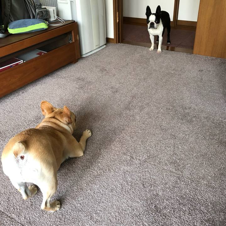 A92ccaf5 8c6a 4370 9611 7b84a2efe4d7 1559606169196