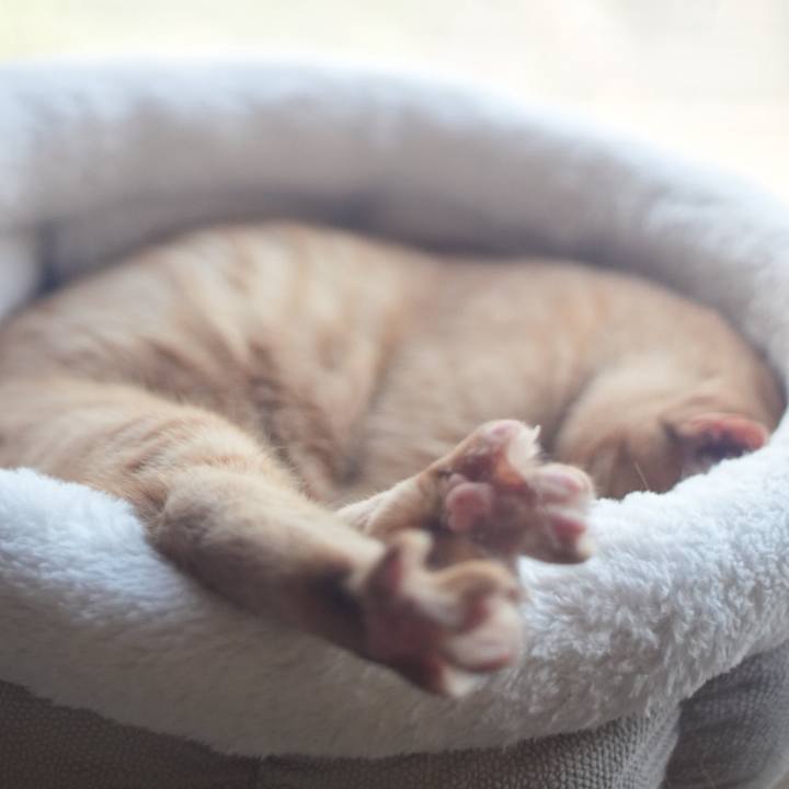 A92d4d4f 1d88 4115 87ef ddf72c3b5499 1736942273255