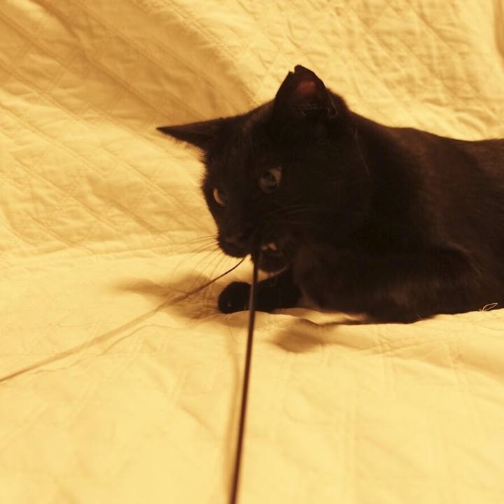 A92d67f7 87cc 49b1 8a4b 07f95b757432 1559829523147