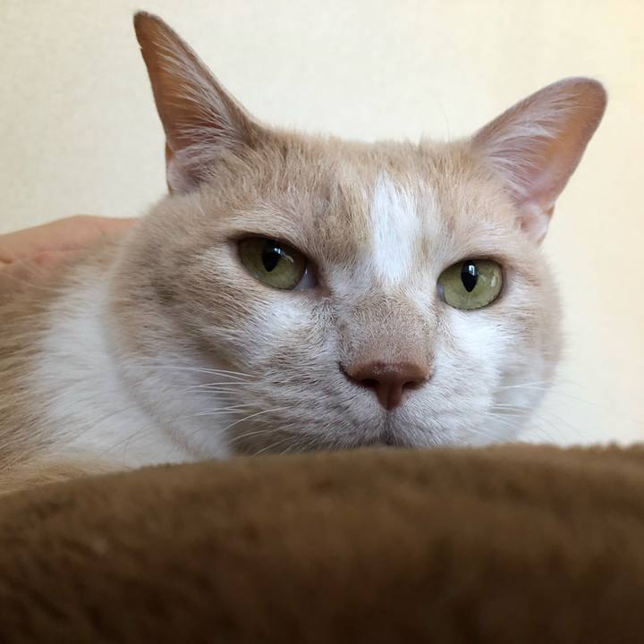 A92d8feb fd43 4074 94cf 5fb236404e8c 1553320027017