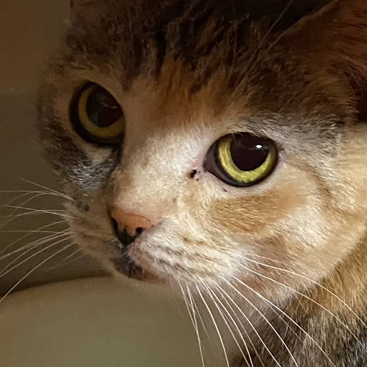 A92da780 f942 460f a2b5 c3419d14a57e 1590143388493