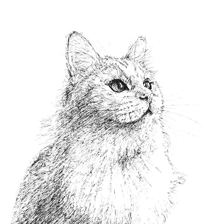 A92dd20c 7a49 4c7d bfe2 9a50719fd0fc 1599388237621