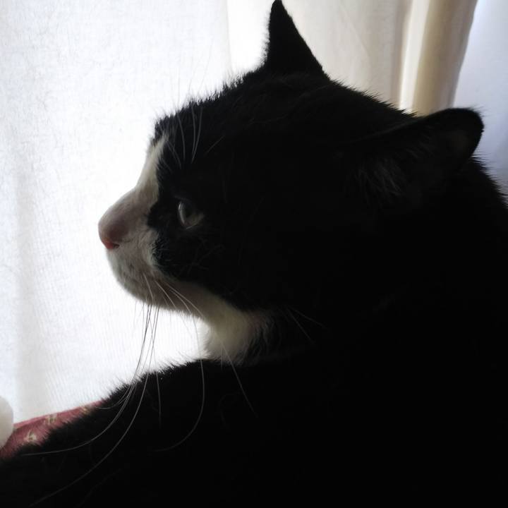 A92ddf3d 3686 438f bf74 a1a60be888e9 1558475397969