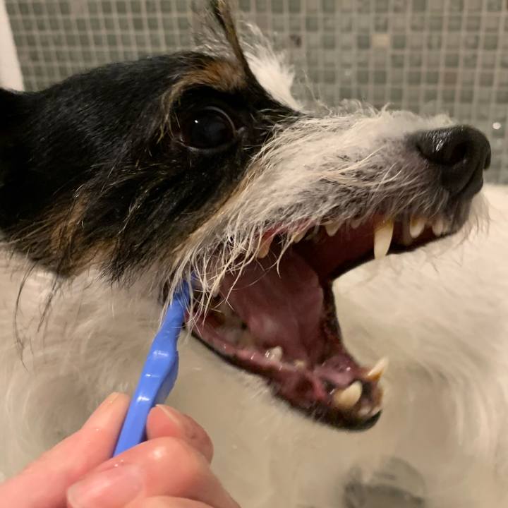 A92e0833 e8d1 4439 b6fe 7ab9b4c2c6ad 1667131490425