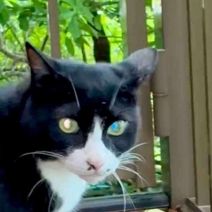 A92e0e1a 2e26 4577 89b1 c287209ca98d 1754532508985