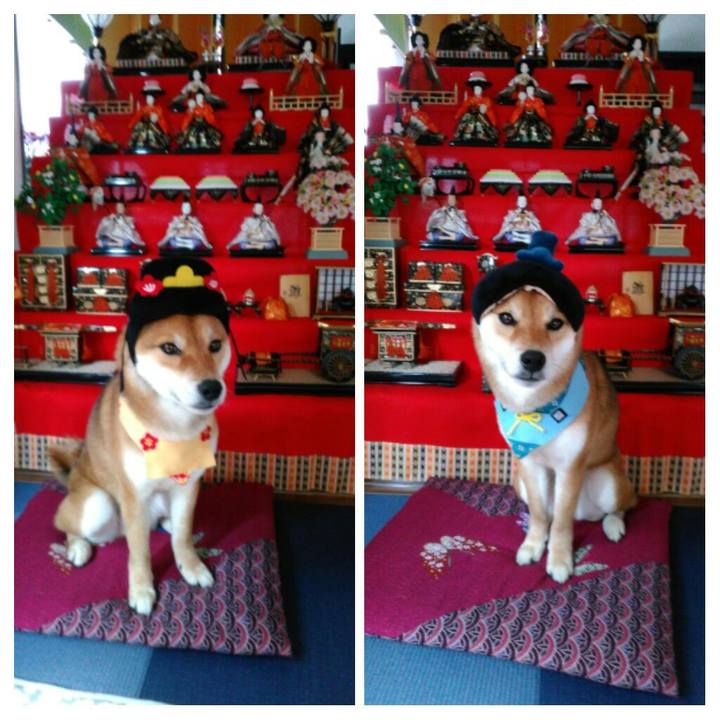 A92e53a1 fed6 418e b365 1e6a99104068 1519618945558