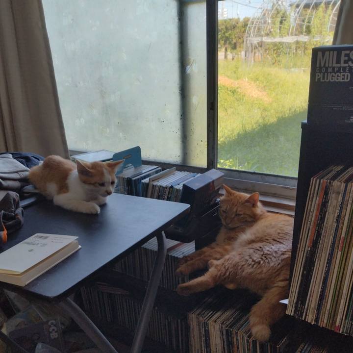 A92e5925 66d6 4612 a80a 2b38f3940911 1725945180291