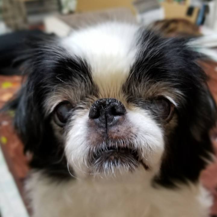 A92e5cc2 c623 423c b05d 45c38f2b8be3 1581846094676