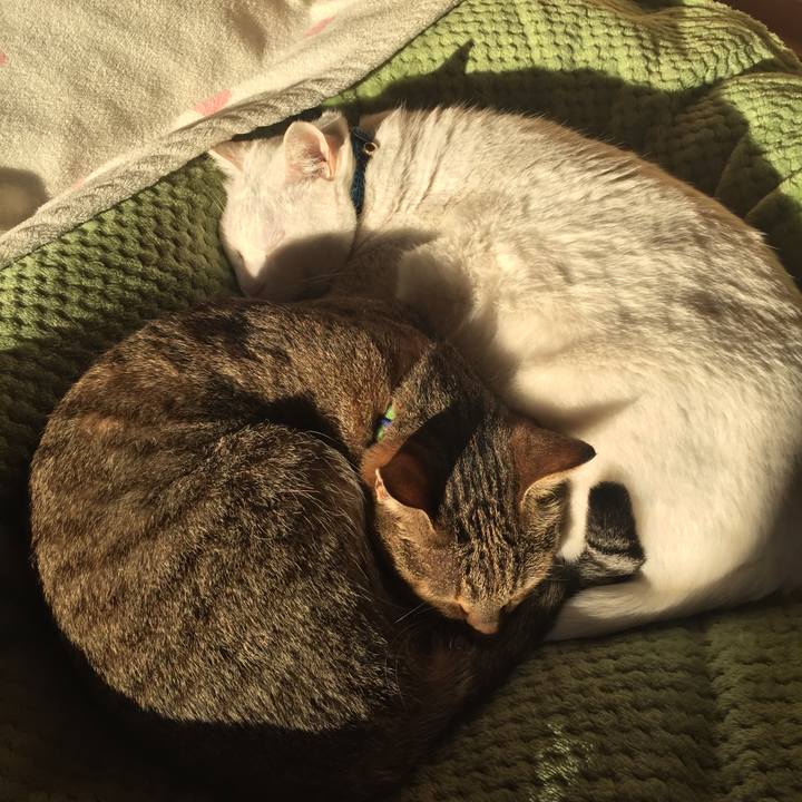 A92e7976 7964 4da6 b722 61eea25f3996 1516748070750