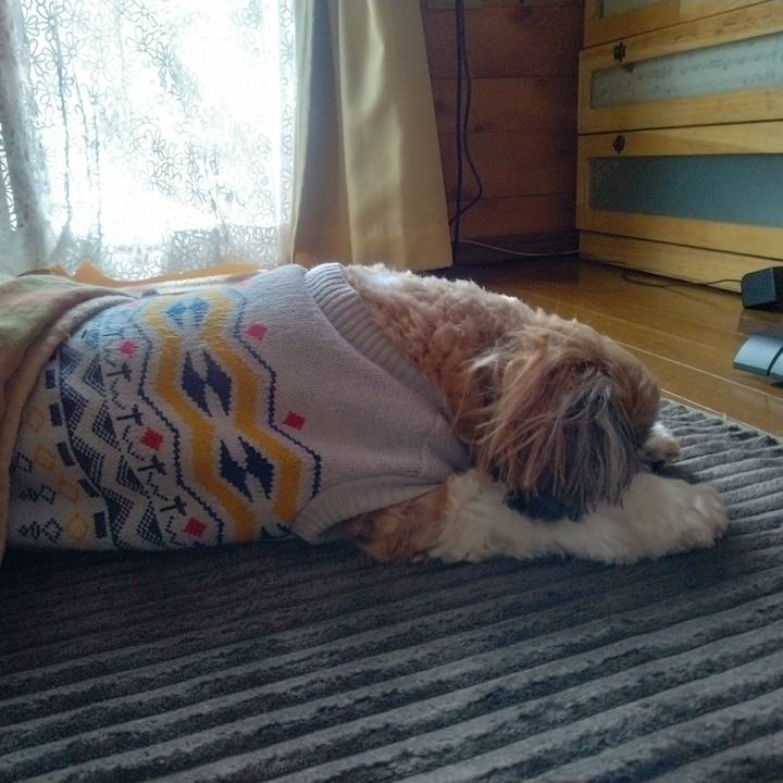 A92e93d7 0d2c 4ff7 a96f 8f666c1c978b 1642045542284