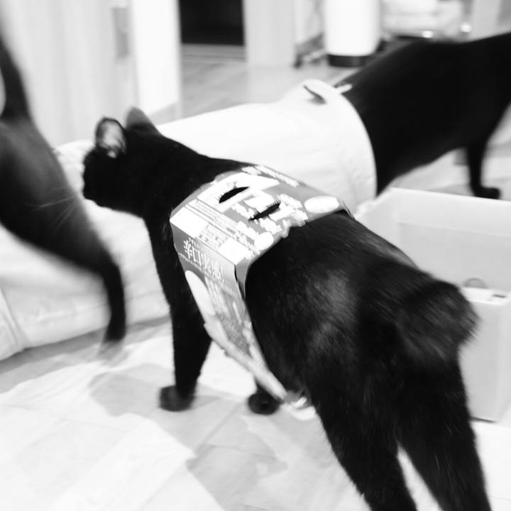 A92ea22e 387b 456c 90ba 0c9c6e97ecc4 1529020564269