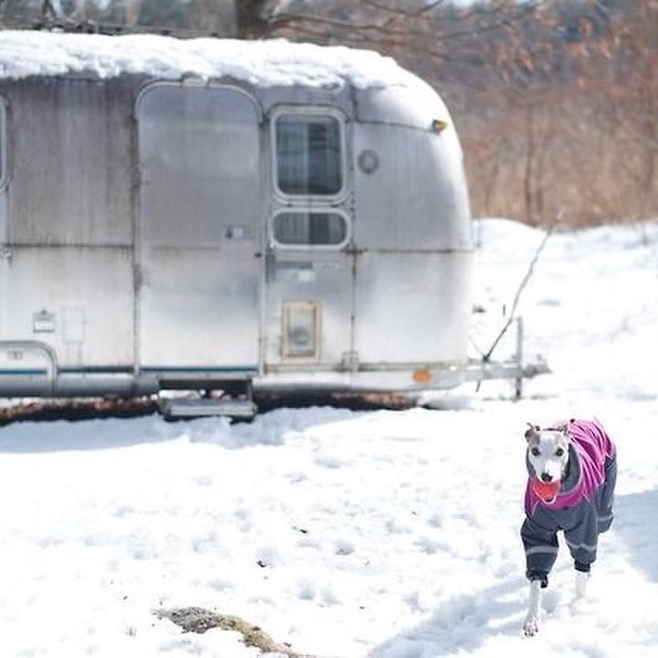 A92ebaf6 abc6 4853 bf35 9d96b024d0d1 1519896201483