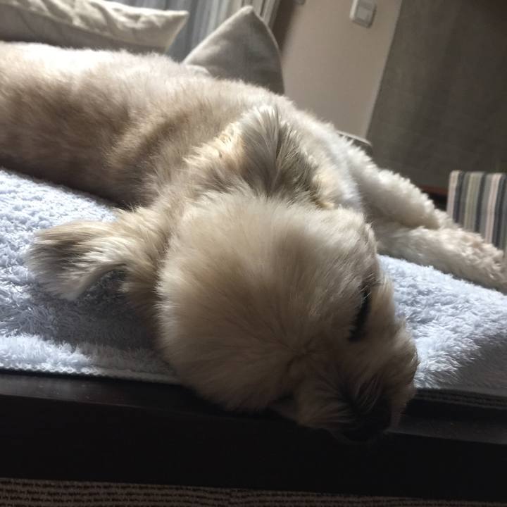 A92eec05 846b 4c42 b16a 06db18b77e45 1537185783595