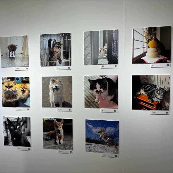 A92f0490 a354 4321 9b0f 5380fd290035 1762124914410