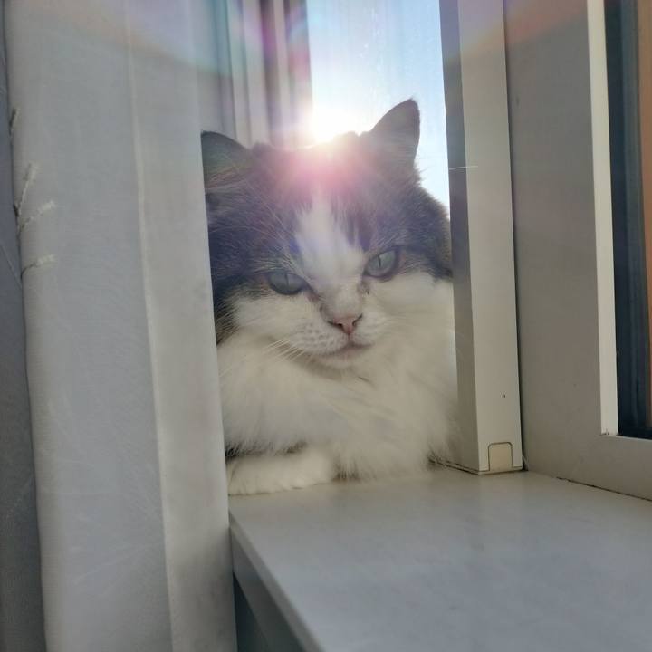 A92f12f9 938a 4b65 bc42 e4f7f725a1a9 1758493841883