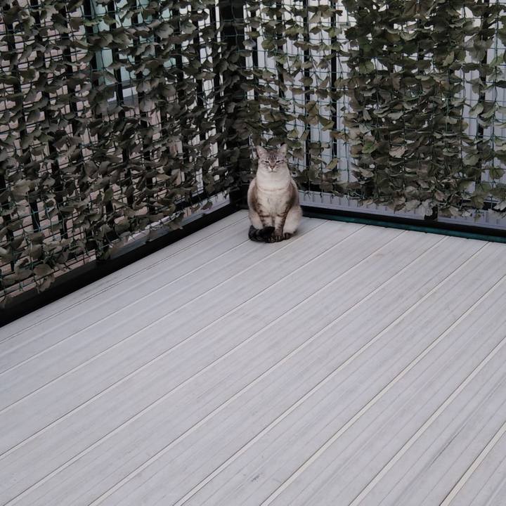 A92f1c55 219e 4328 ae9d 74021773708f 1615086424868