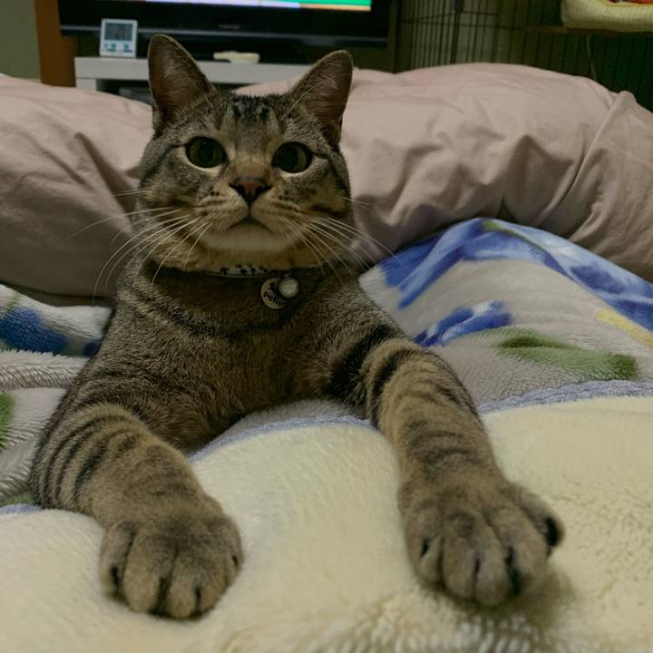 A92f5eb9 239f 448c a702 db5907051cbd 1585810014183