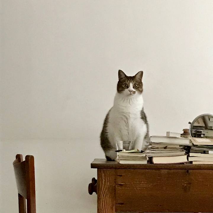 A92f6437 3985 495a 9f8b 9c3f0cbcc5dc 1565917180579