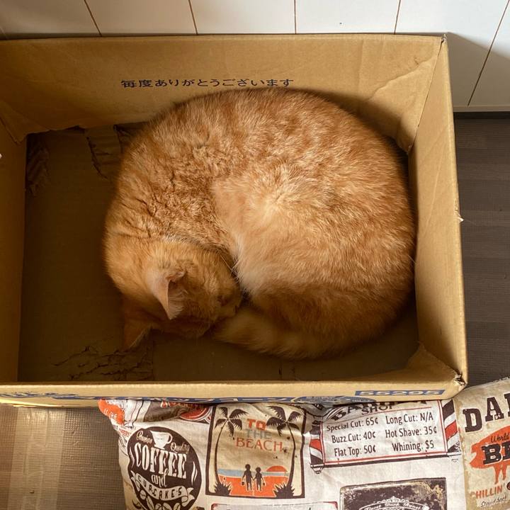 A92f6bc4 5fb5 4bb5 8ec6 5990d610f273 1616806379683