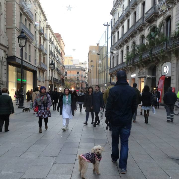 A92fb5b7 aa03 486f 8e90 2bd1df994adf 1548877820381