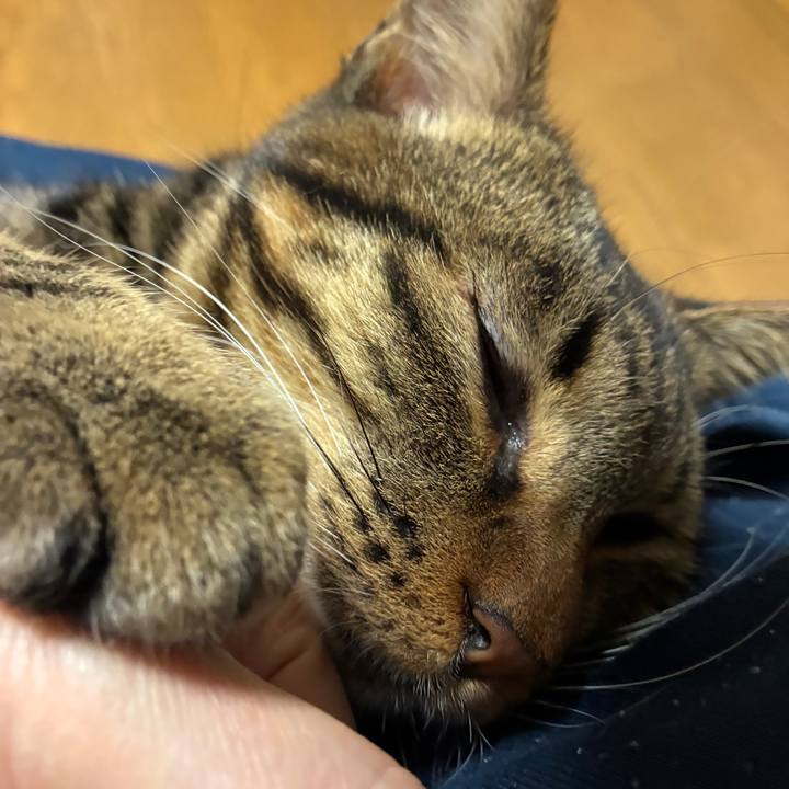 A92fb69b ec95 4c7d 9a5f 81c1a0624b49 1762853993269