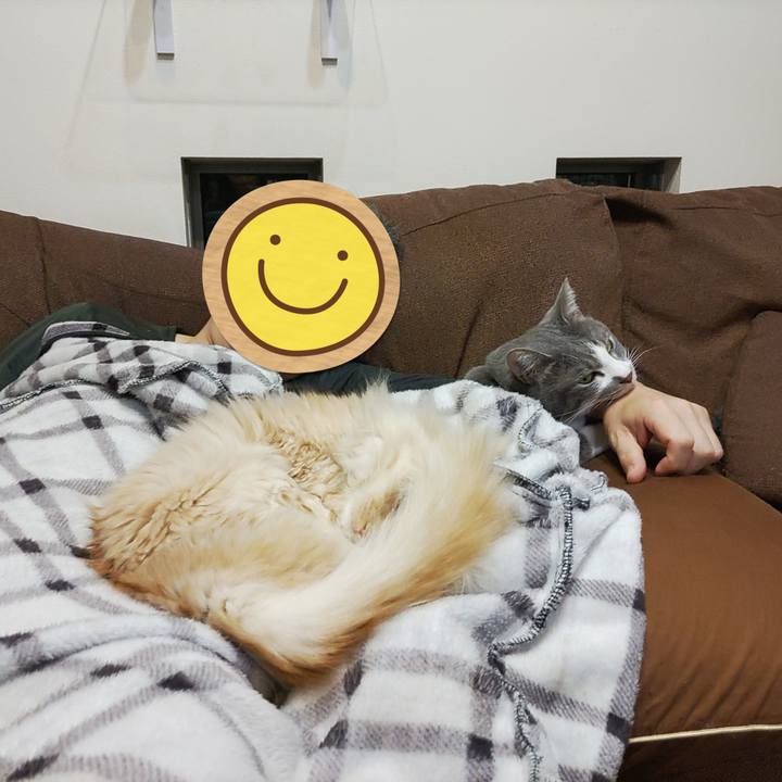 A92fccf1 7e6c 42bd a745 b11d2417e4b5 1706106307671