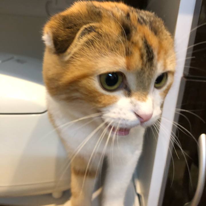 A92fe63e 9d5a 453f ac95 f325f0057e45 1513937650605