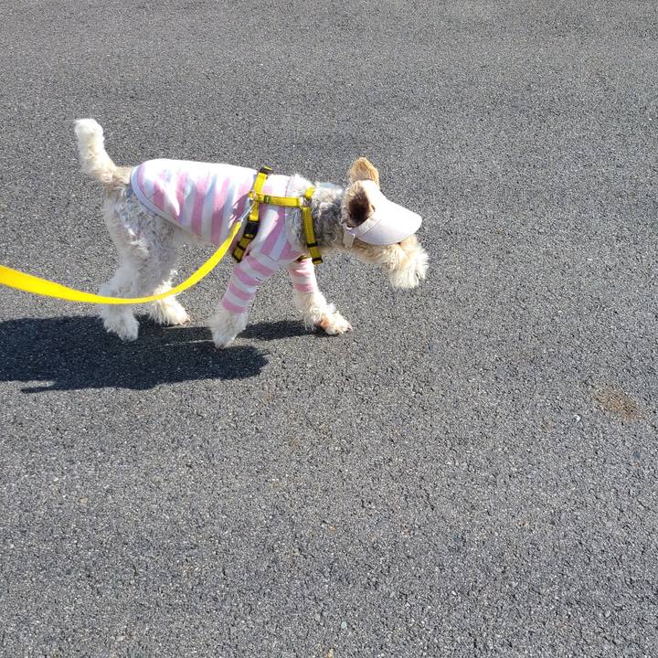 A92ff323 647e 444a a661 1e39e752d660 1673174709566